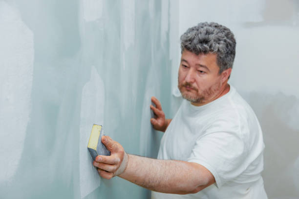 Mold Odor Removal Services in Robbins, NC